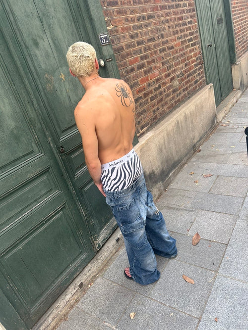 Le Zèbre