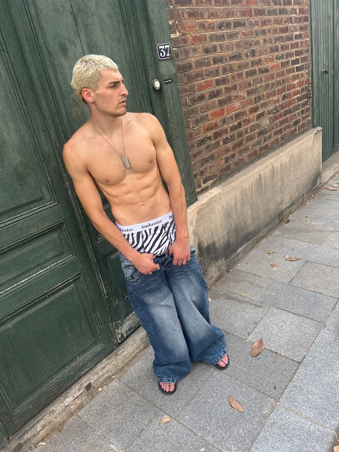 Le Zèbre